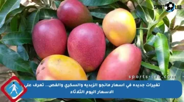 تغيرات جديدة في أسعار مانجو الزبدية والسكري والفص.. تعرف على الأسعار اليوم الثلاثاء